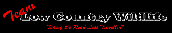 WeHuntSC.com - Team Low Country
